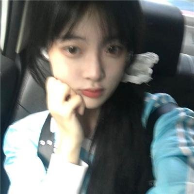彩叶草之梦